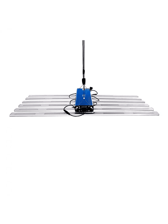 QUANTUM SQUARE L720-DELIGHT 2