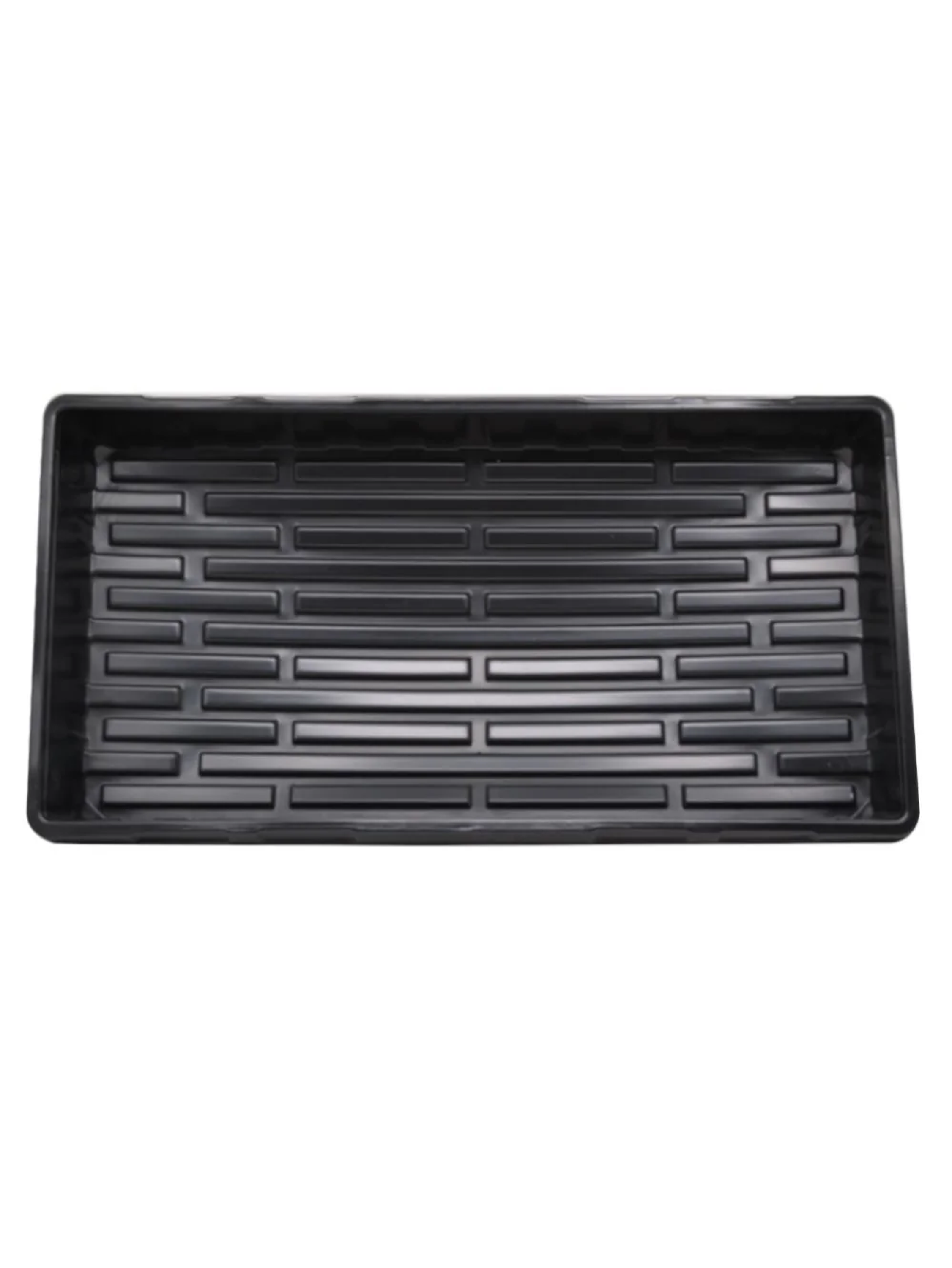 Bandeja Para Cupula 54X28X7Cm 2