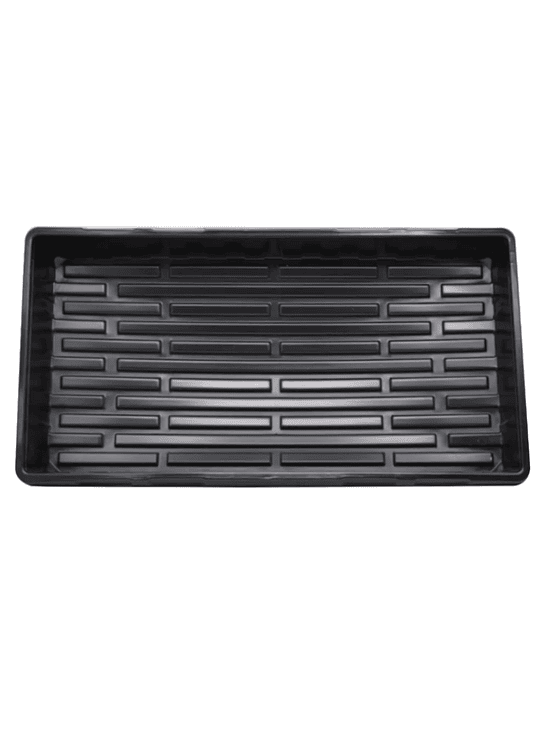 BANDEJA PARA CUPULA 54X28X7CM 2