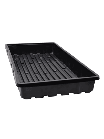 BANDEJA PARA CUPULA 54X28X7CM 3