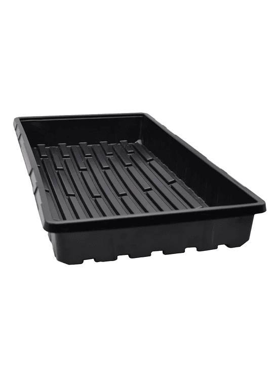 BANDEJA PARA CUPULA 54X28X7CM 3