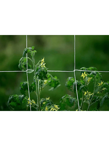 MALLA DE CULTIVO 1.5X4.5MT 2