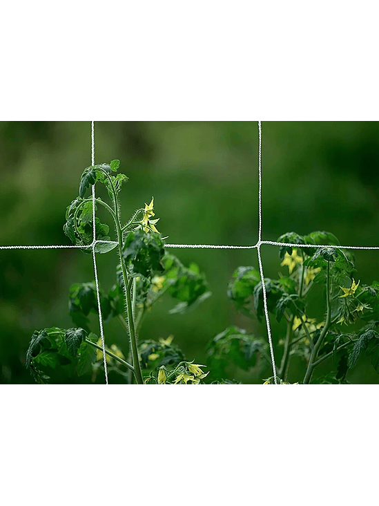 MALLA DE CULTIVO 1.5X4.5MT 2