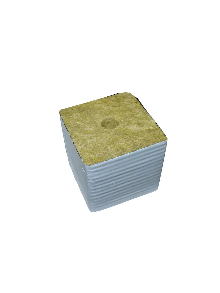 Cubo De Lana De Roca  - Kasvi 1