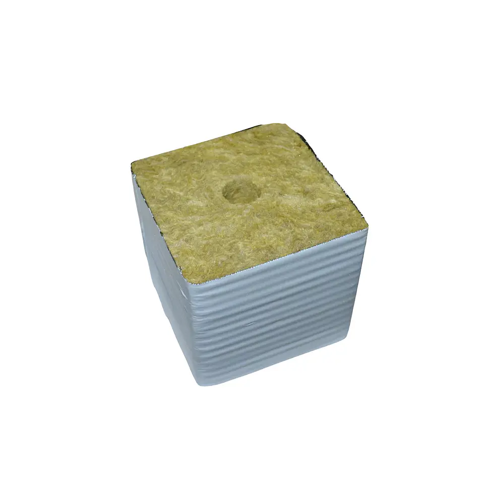Cubo De Lana De Roca  - Kasvi 1