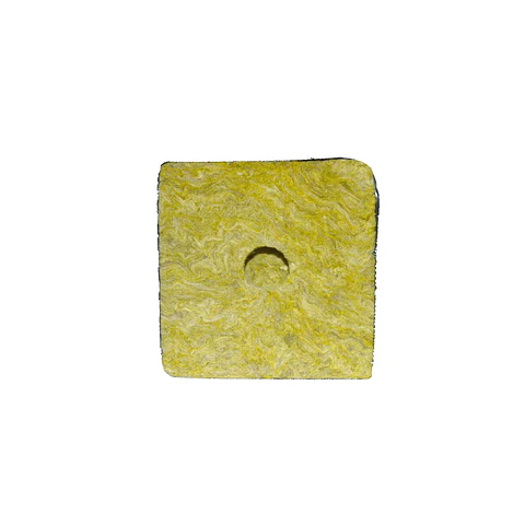 Cubo De Lana De Roca  - Kasvi