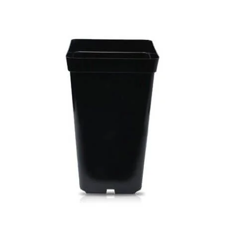 Maceta Negra 2 Lt 1
