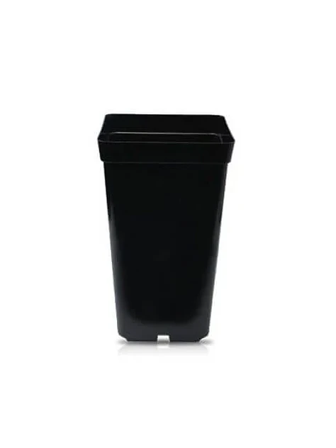 Maceta Negra 2 Lt 1