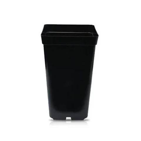 Maceta Negra 2 Lt