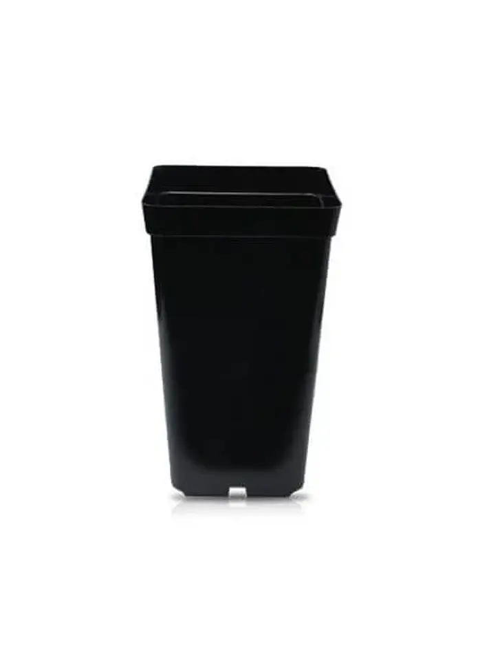 Maceta Negra 2 Lt 1