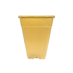 Maceta Cuadrada Dorada 18Lt