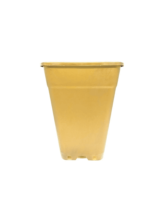 MACETA CUADRADA DORADA 18LT 1