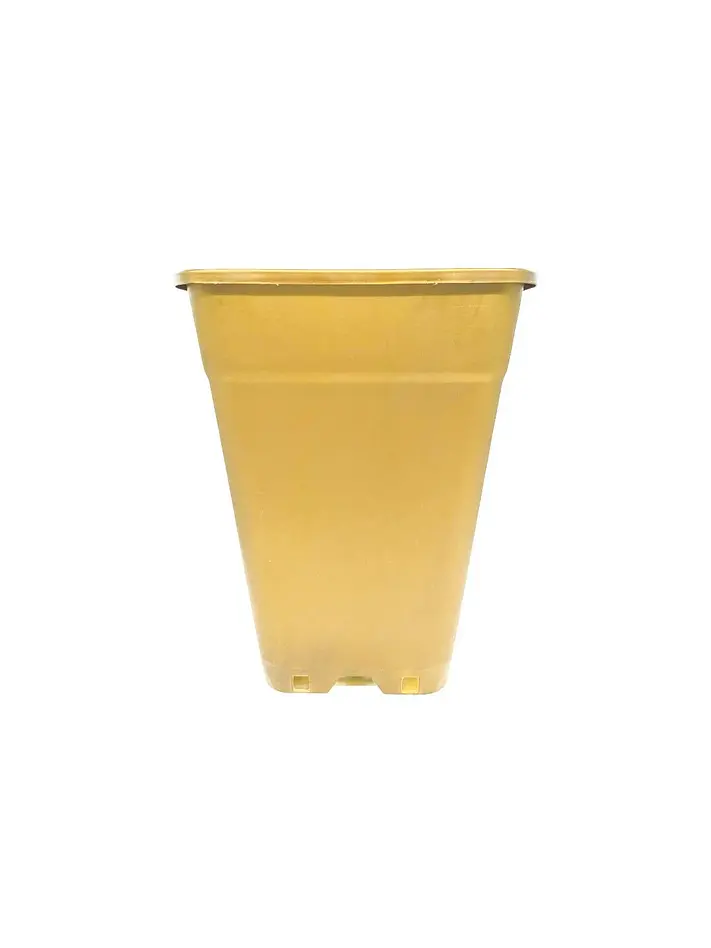 Maceta Cuadrada Dorada 18Lt 1