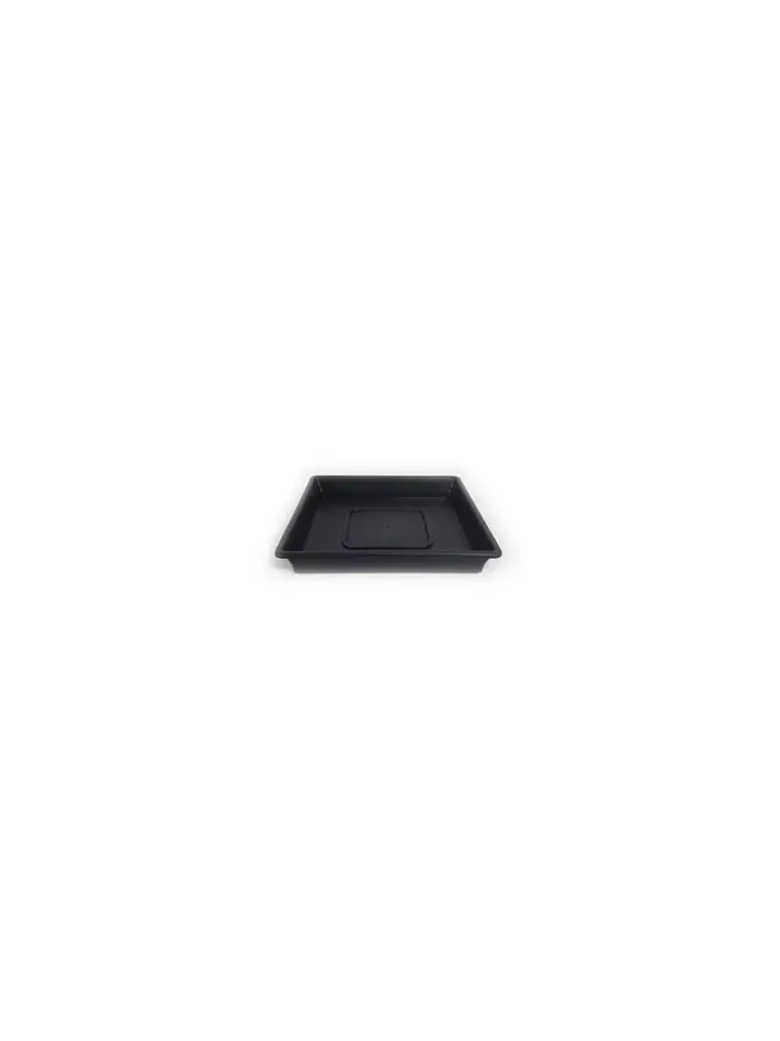 Plato Cuadrado 3Lt 1