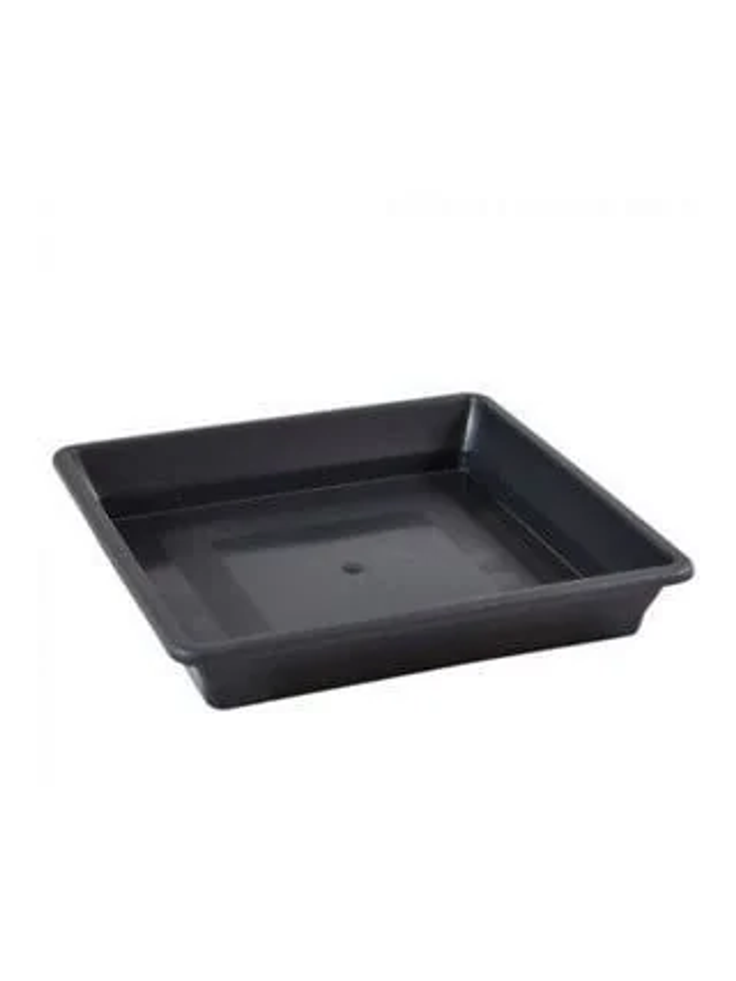 Plato Cuadrado Negro 11-18 Lt 1