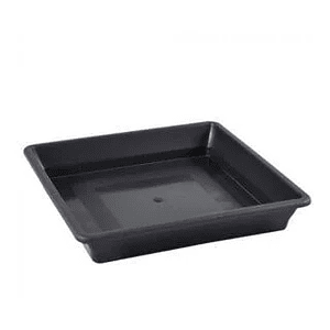 Plato Cuadrado Negro 11-18 Lt