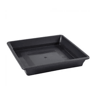 PLATO CUADRADO NEGRO 11-18 LT