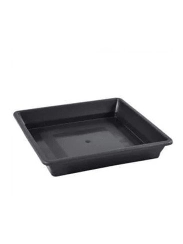 PLATO CUADRADO NEGRO 11-18 LT 1