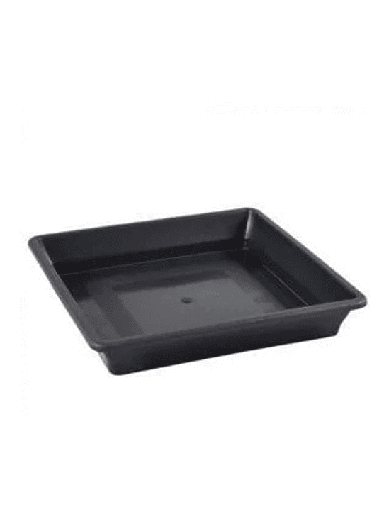 PLATO CUADRADO NEGRO 11-18 LT 1