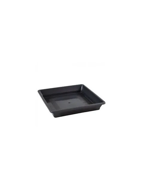 Plato Cuadrado Negro  4