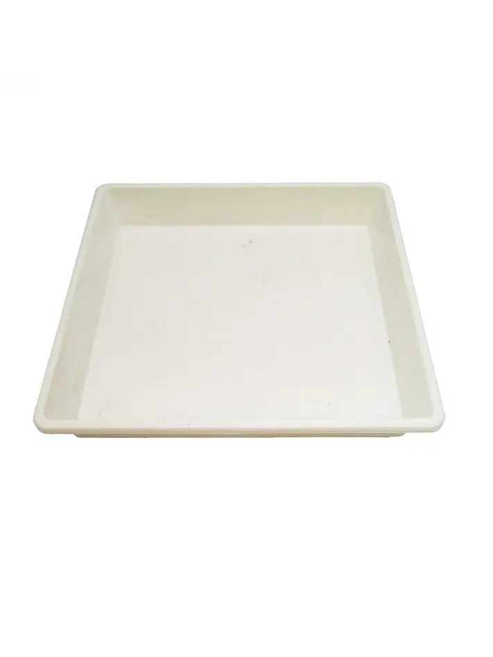 Plato Cuadrado Blanco 1