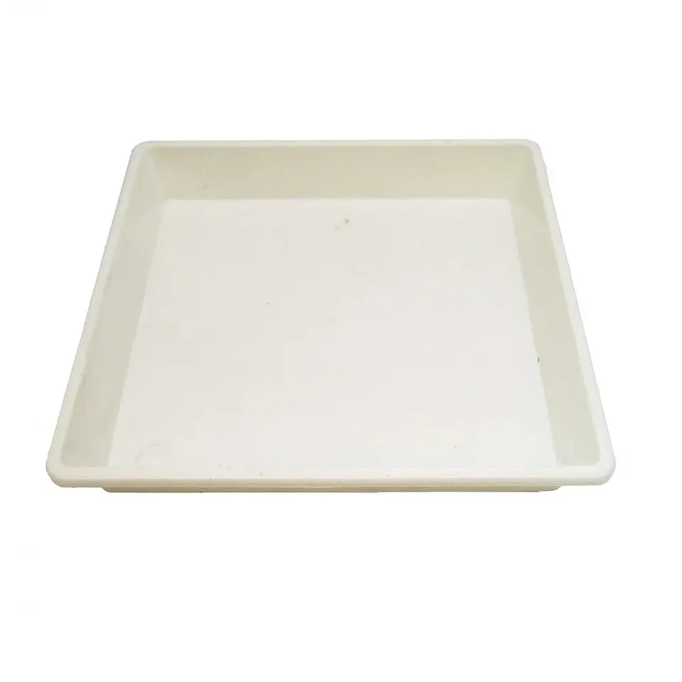Plato Cuadrado Blanco 1