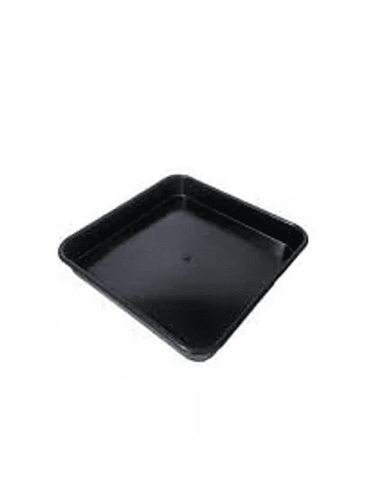 PLATO CUADRADO 18LT 1