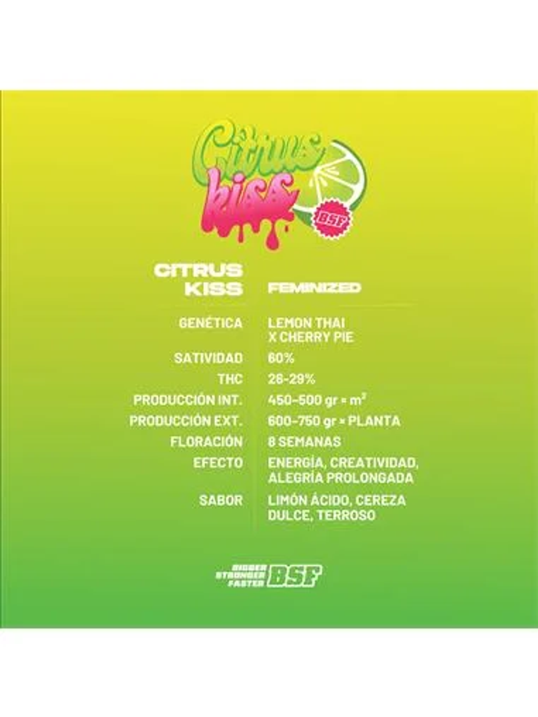 Citrus Kiss - Bsf (X12/X4/X2) 2