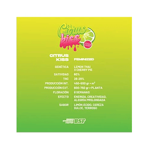 CITRUS KISS X12- BSF