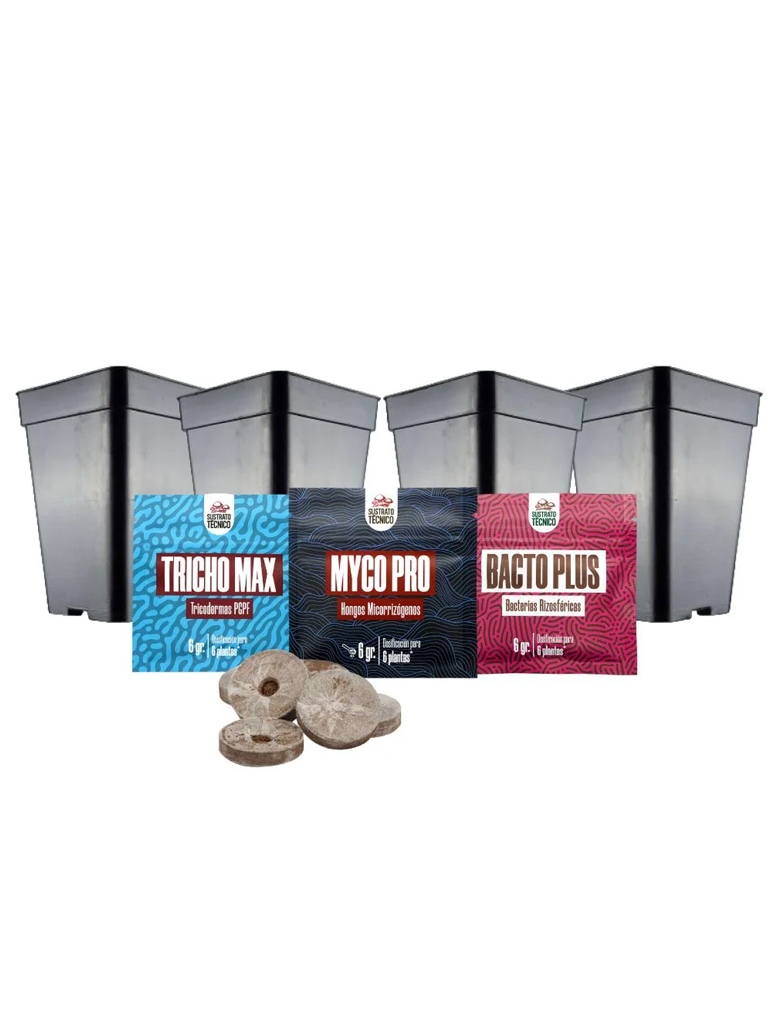 Pack De Germinación 1