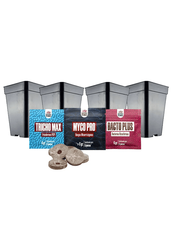 PACK DE GERMINACIÓN 1