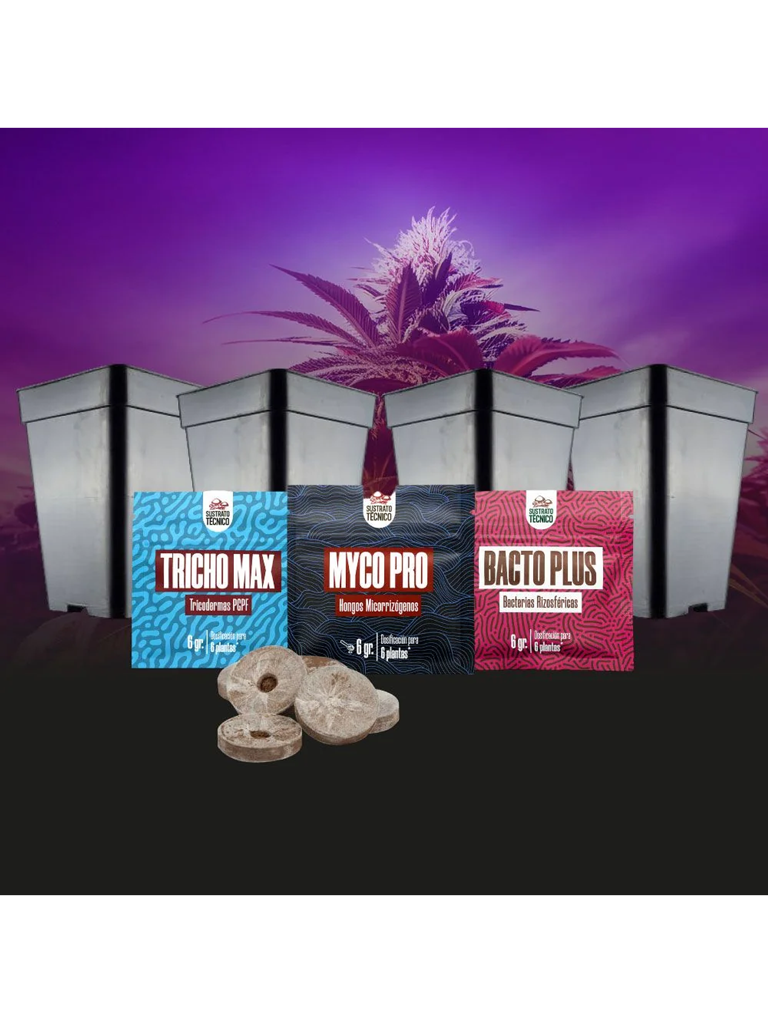 Pack De Germinación 2