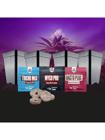 PACK DE GERMINACIÓN 2