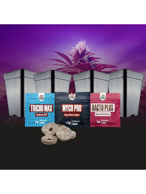 Pack De Germinación 2