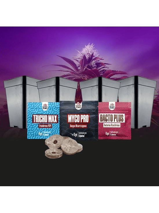 PACK DE GERMINACIÓN 2