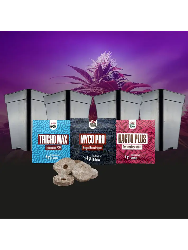 Pack De Germinación 2