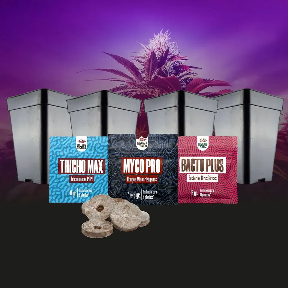 Pack De Germinación 2