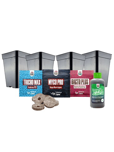 PACK GERMINACIÓN EXPERTO 1