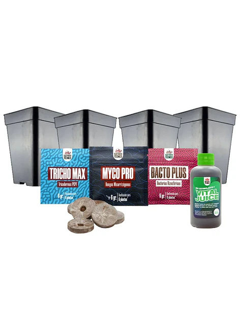 Pack Germinación Experto 1