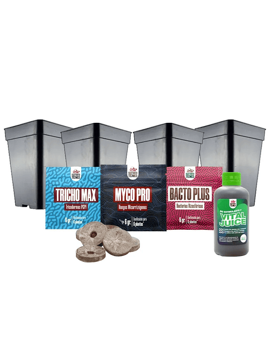 PACK GERMINACIÓN EXPERTO 1