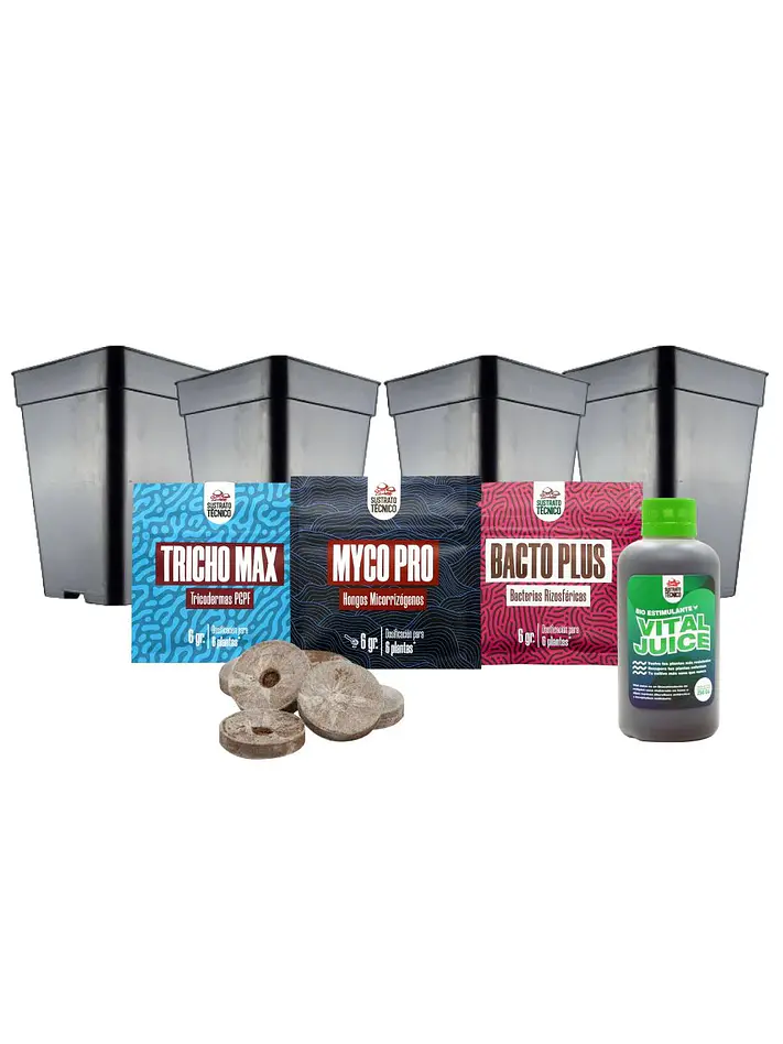 Pack Germinación Experto 1