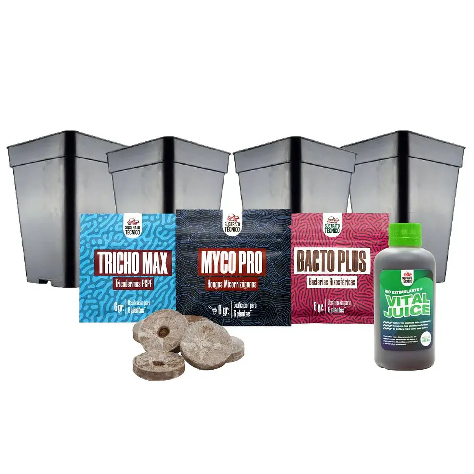 Pack Germinación Experto 1