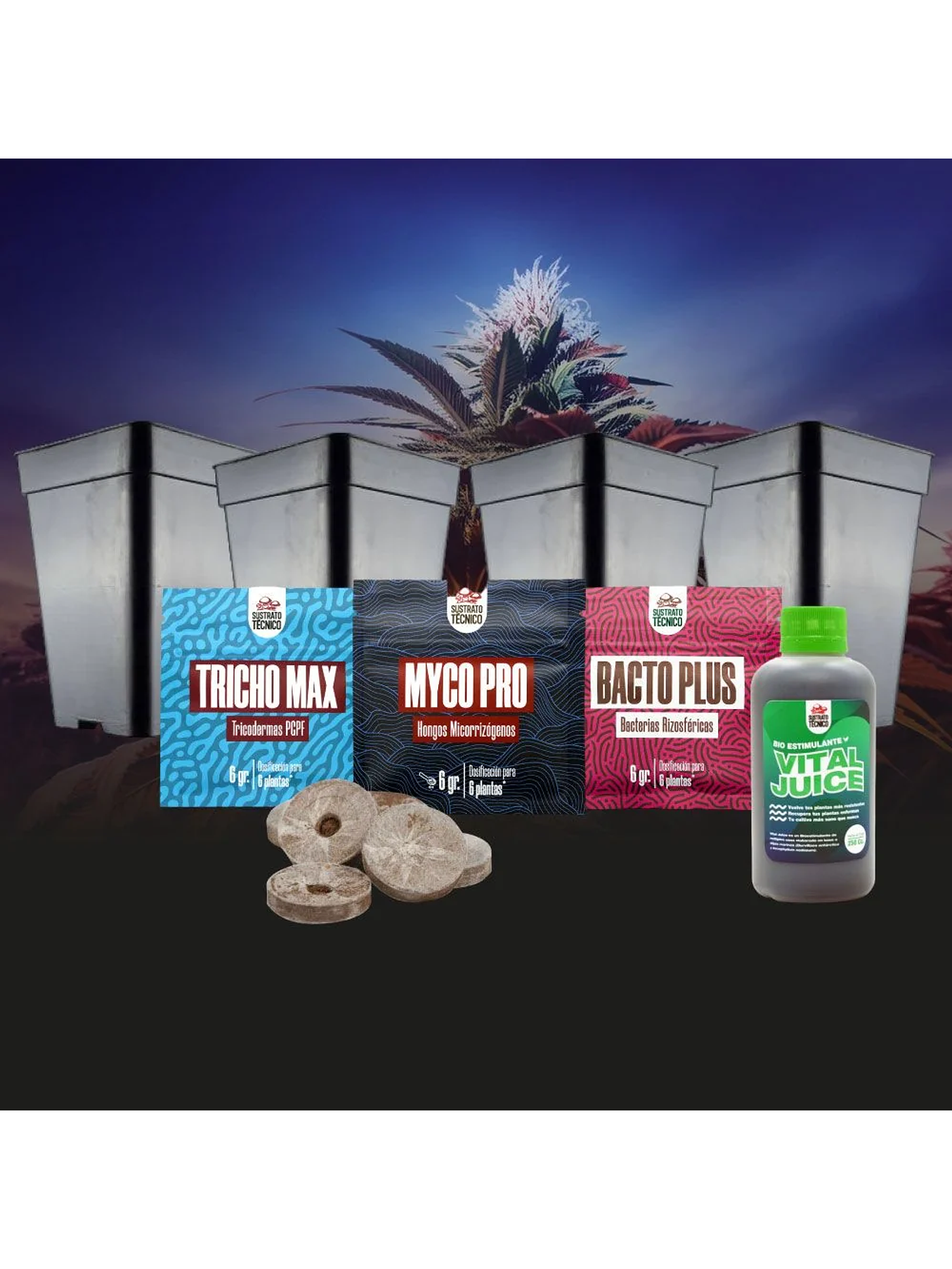 Pack Germinación Experto 2