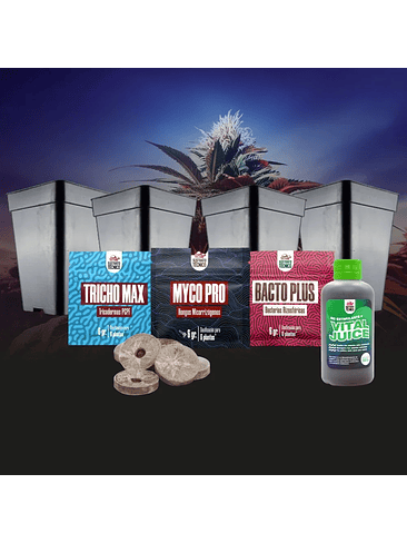 PACK GERMINACIÓN EXPERTO 2