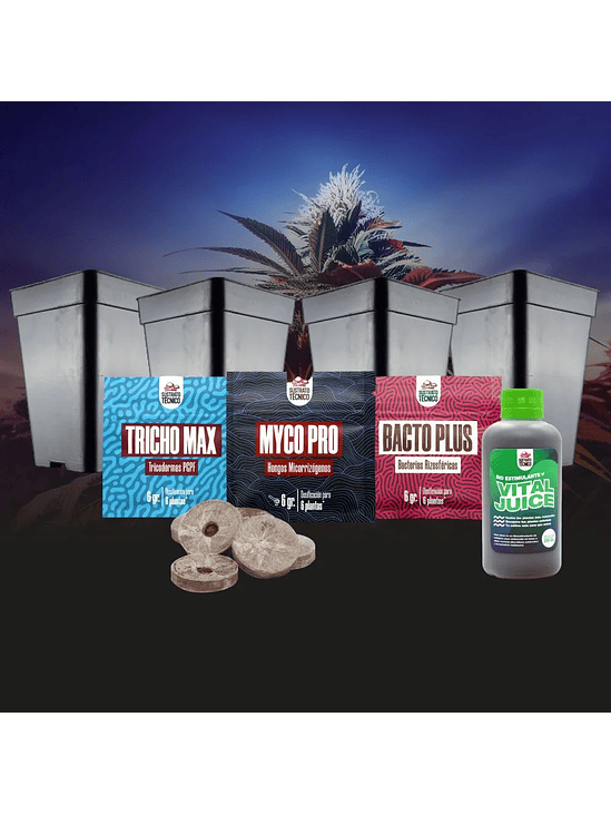 PACK GERMINACIÓN EXPERTO 2