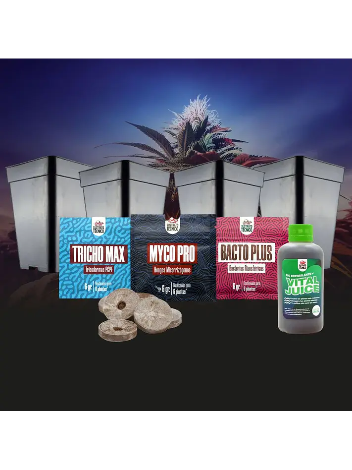Pack Germinación Experto 2