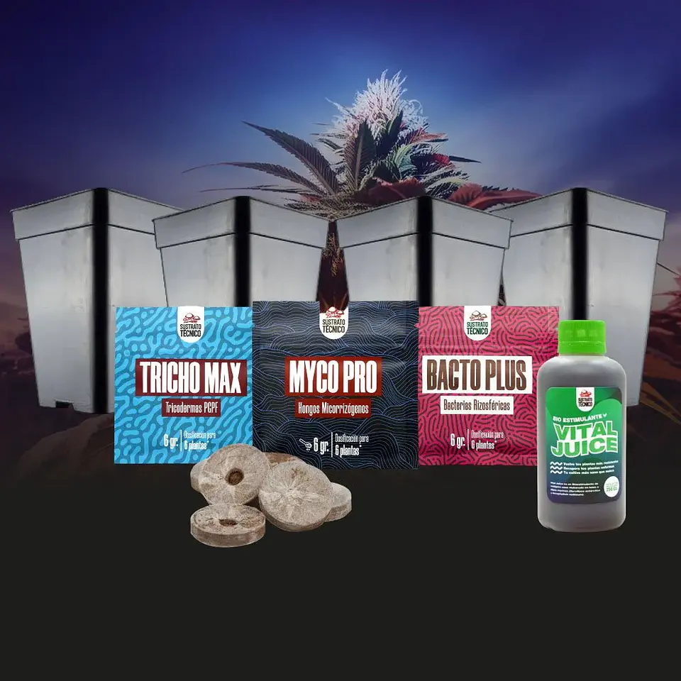 Pack Germinación Experto 2