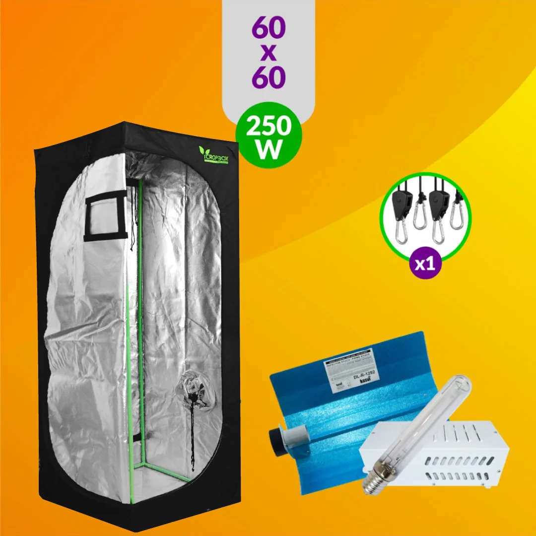 Pack Básico Iluminación Sodio 250W 1