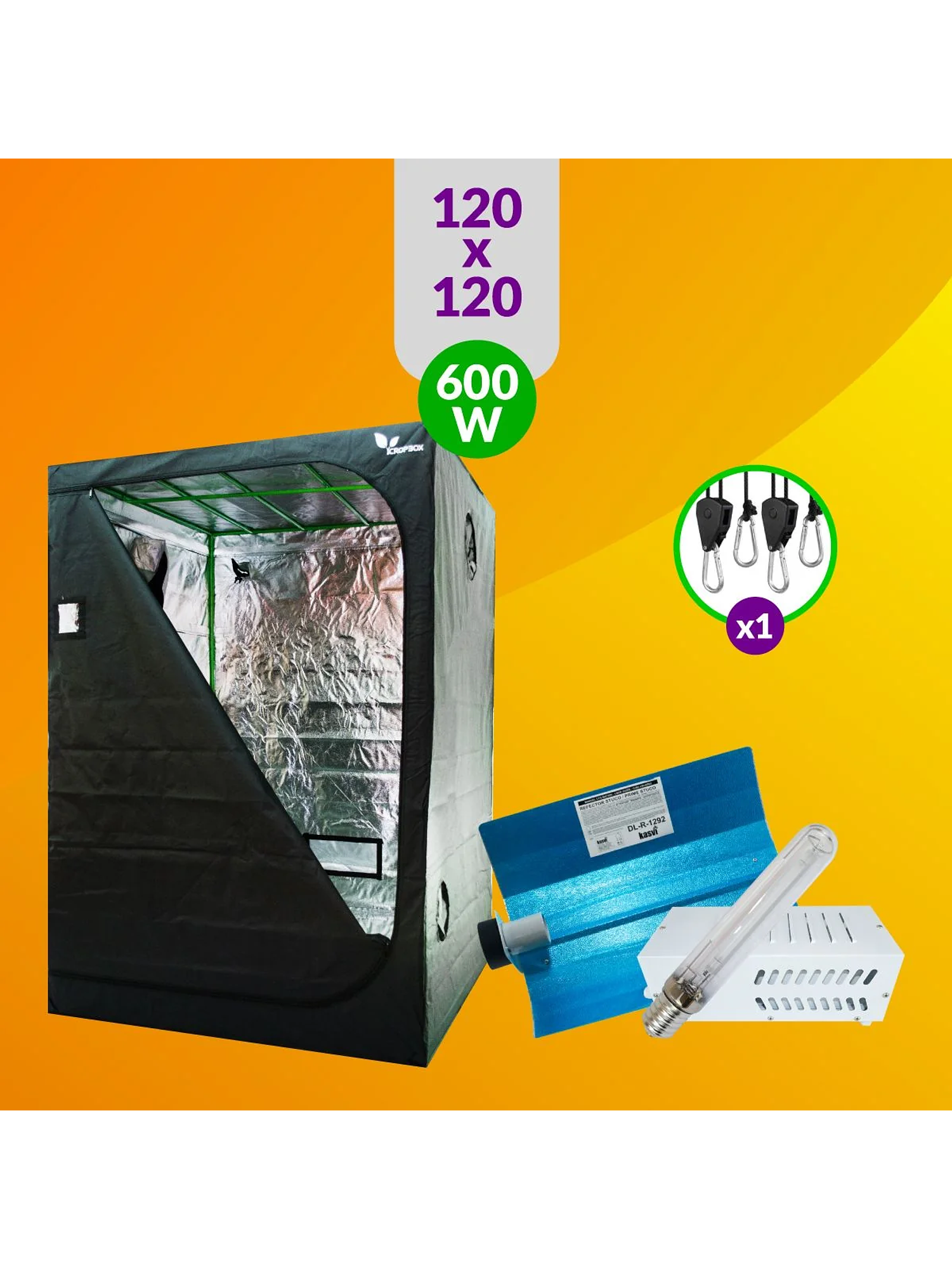 Pack Básico Iluminación Sodio 600W 1