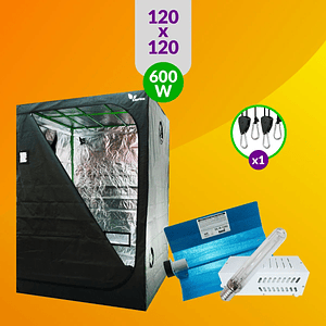 Pack Básico Iluminación Sodio 600W